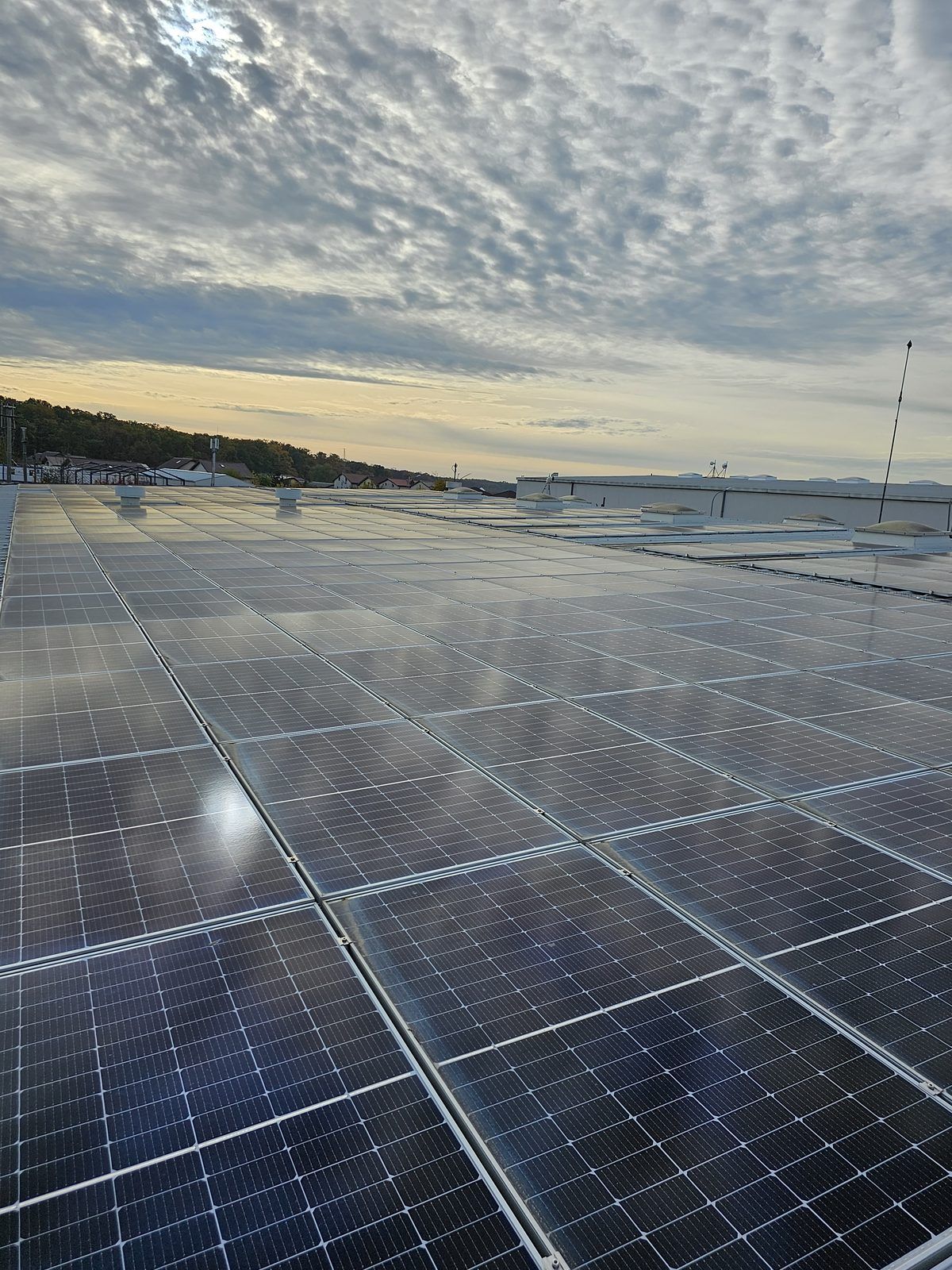 Photo of the Romind Project